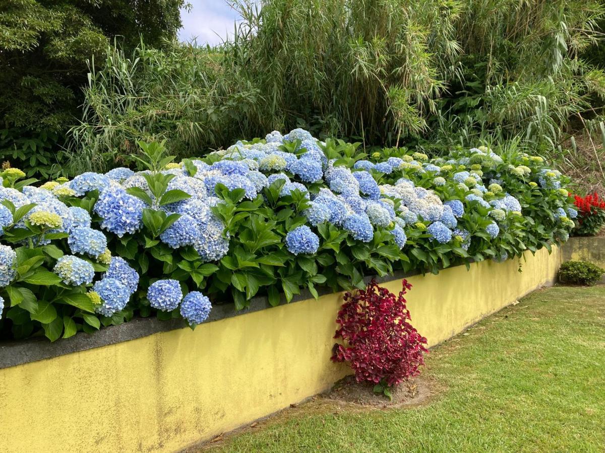 Quinta Das Palmeiras Povoacao  Exterior foto